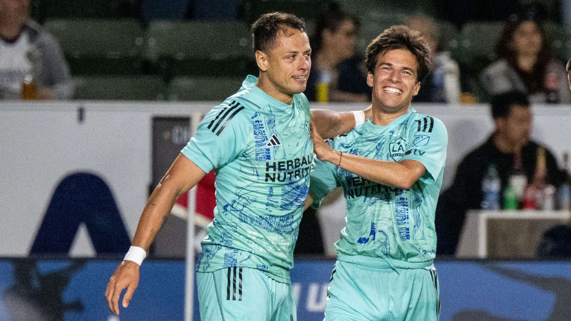 中得到了验 中得到了验