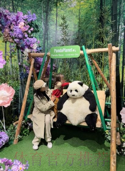 《熊猫说球》第二十三集:规则的精神和调整 《熊猫说球》第二十三集:规则的精神和调整